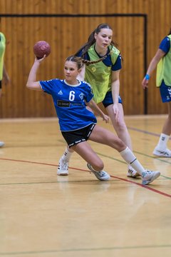 Bild 85 - wBJ TSV Ellerau - HSG Stoertal Hummeln : Ergebnis: 26:19